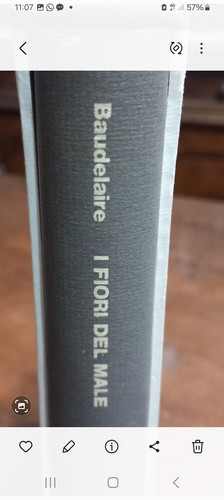 Baudelaire fiori del male - i,